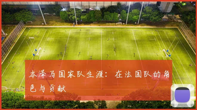 本泽马国家队生涯:在法国队的角色与贡献