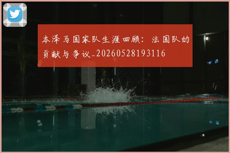 本泽马国家队生涯回顾：法国队的贡献与争议_20260528193116