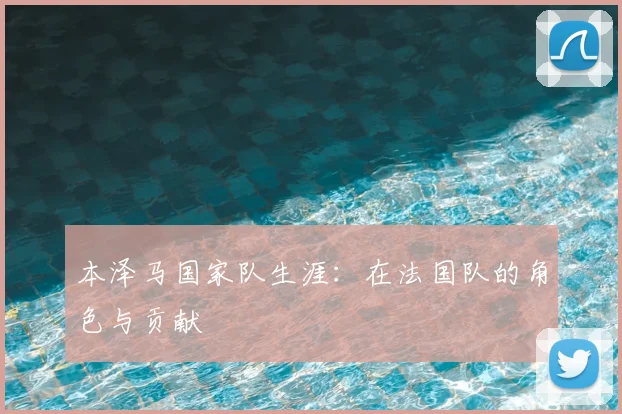 本泽马国家队生涯:在法国队的角色与贡献